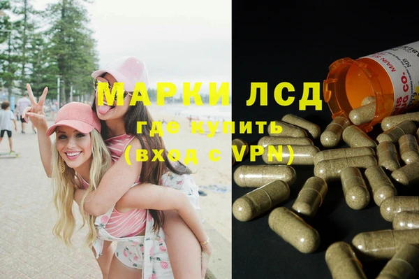индика Алексеевка