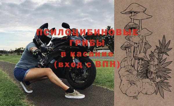 МДПВ Алексин