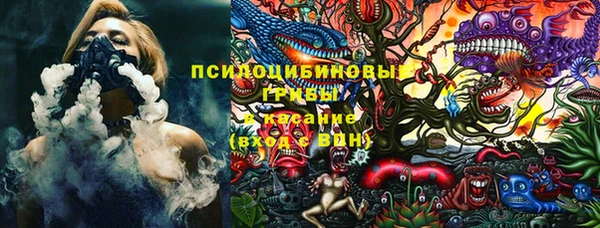 МДПВ Алексин