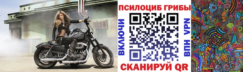 Галлюциногенные грибы Magic Shrooms Новая Ляля