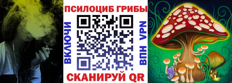 где найти наркотики  Новая Ляля  Псилоцибиновые грибы Psilocybine cubensis 